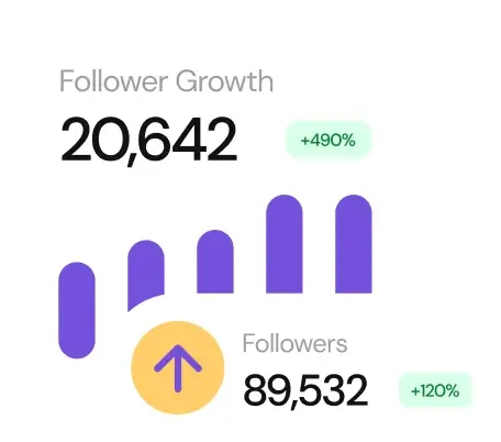 Chart showing follower growth